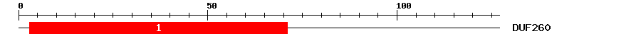 Signature Domain