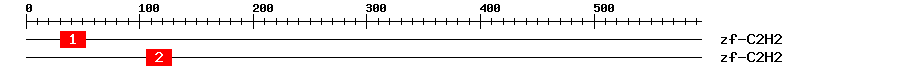 Signature Domain