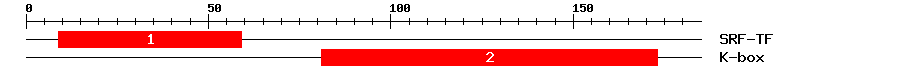 Signature Domain