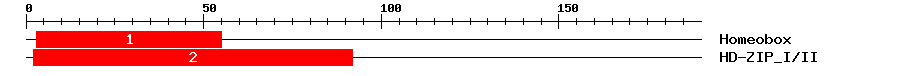 Signature Domain