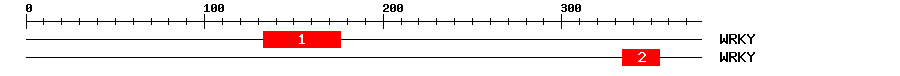 Signature Domain