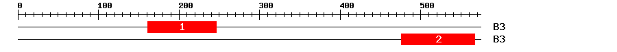 Signature Domain