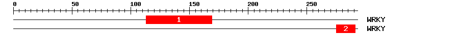 Signature Domain