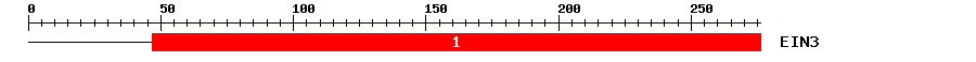 Signature Domain