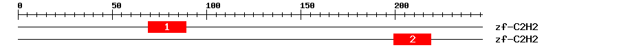 Signature Domain