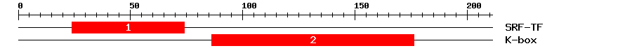 Signature Domain