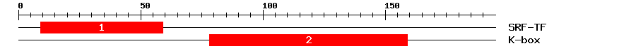 Signature Domain