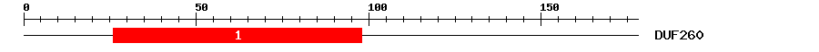Signature Domain