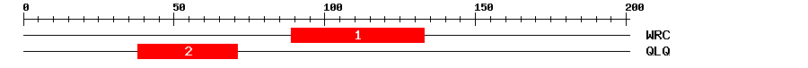 Signature Domain