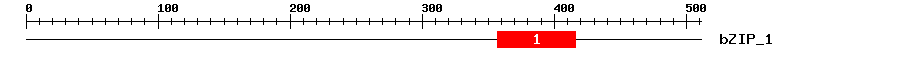 Signature Domain