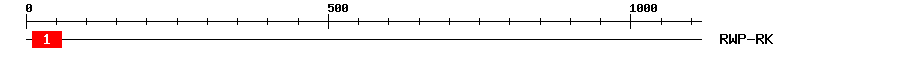 Signature Domain