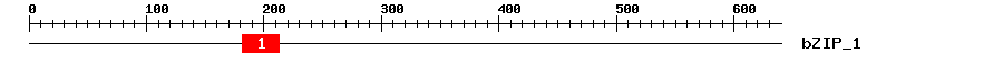 Signature Domain