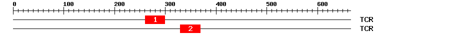 Signature Domain