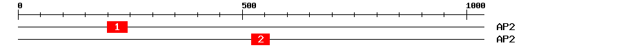 Signature Domain