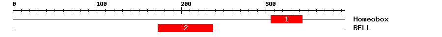 Signature Domain