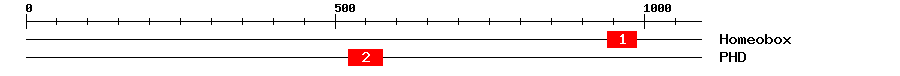 Signature Domain