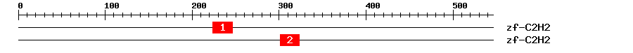 Signature Domain