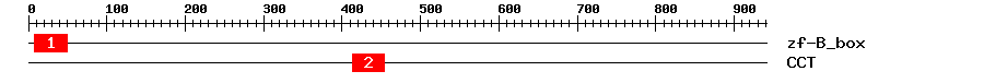Signature Domain