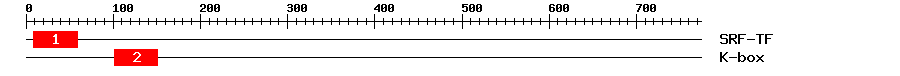 Signature Domain