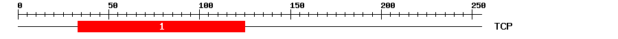 Signature Domain