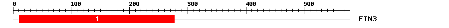 Signature Domain