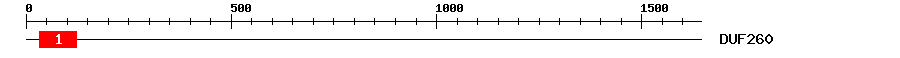Signature Domain