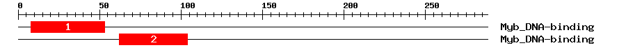 Signature Domain