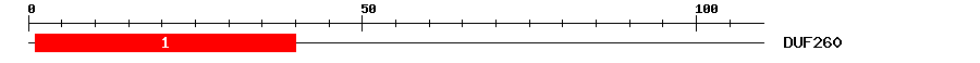 Signature Domain