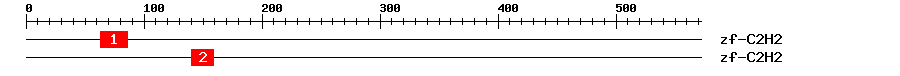 Signature Domain