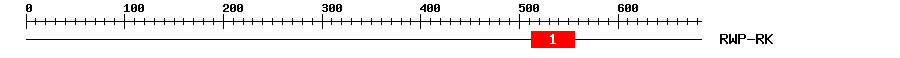 Signature Domain