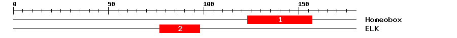 Signature Domain