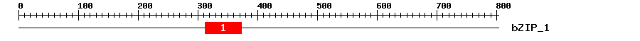 Signature Domain