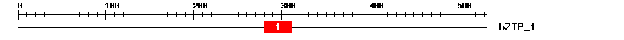 Signature Domain