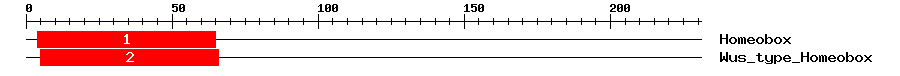 Signature Domain