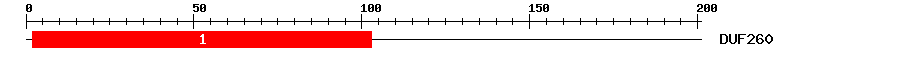 Signature Domain