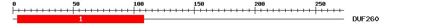 Signature Domain