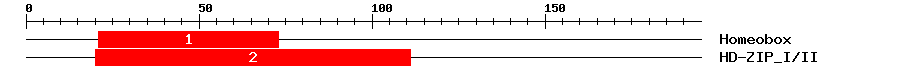 Signature Domain