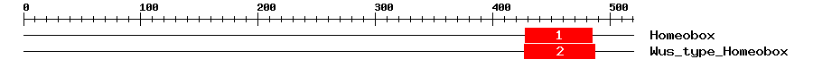 Signature Domain