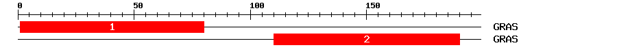 Signature Domain