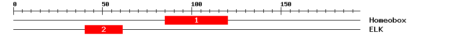Signature Domain