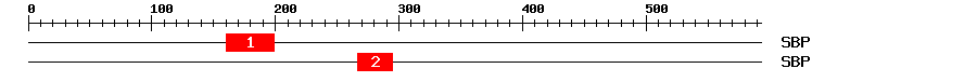 Signature Domain