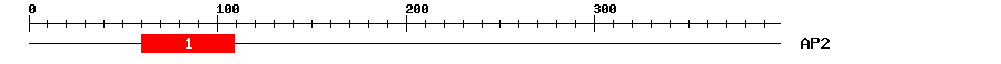Signature Domain