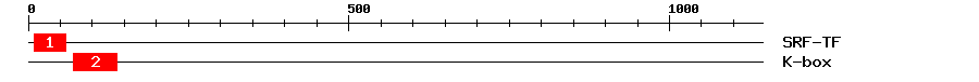Signature Domain