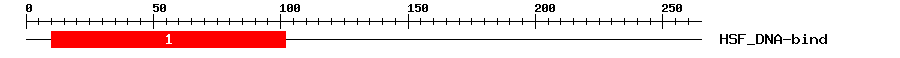Signature Domain