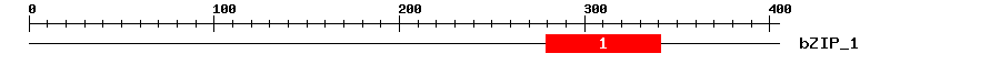 Signature Domain