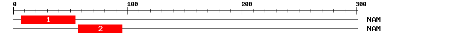 Signature Domain