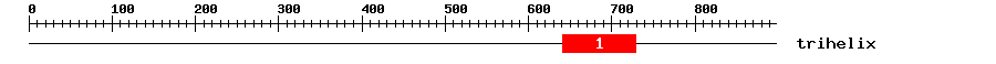 Signature Domain