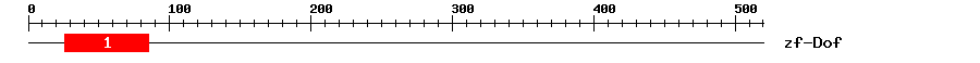 Signature Domain
