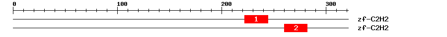 Signature Domain