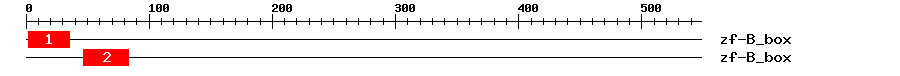 Signature Domain